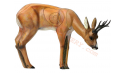 SRT Target 3D Roe Deer VSE Grazing