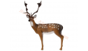 SRT Target 3D Fallow Deer